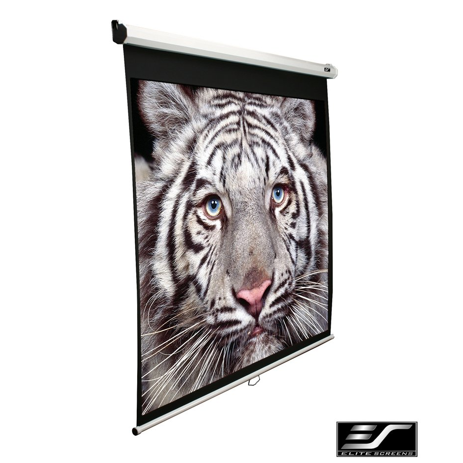 Elite Screen 99" (1:1) M99NWS1 Projektor Vászon (M99NWS1)-0